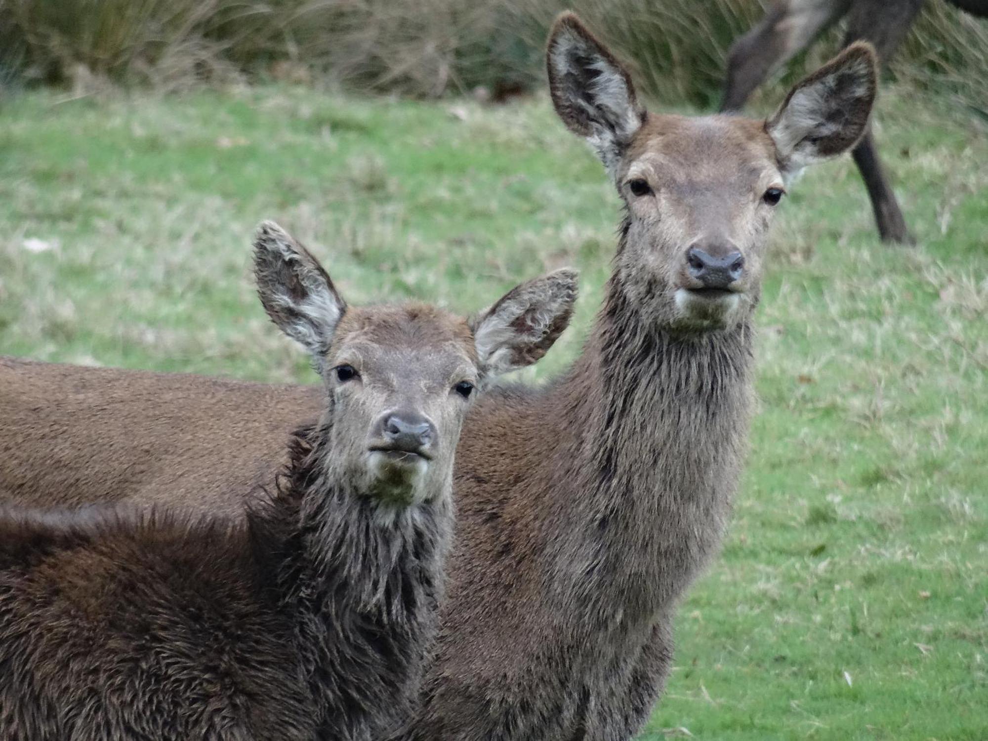 Exmoor Bnb In Withypool On Two Moors Way Exteriér fotografie