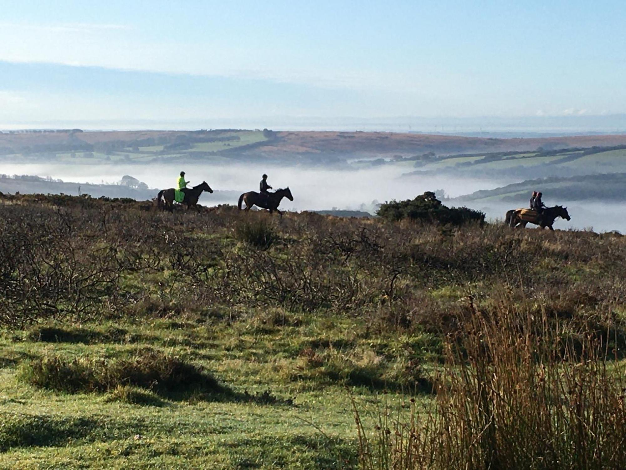Exmoor Bnb In Withypool On Two Moors Way Exteriér fotografie
