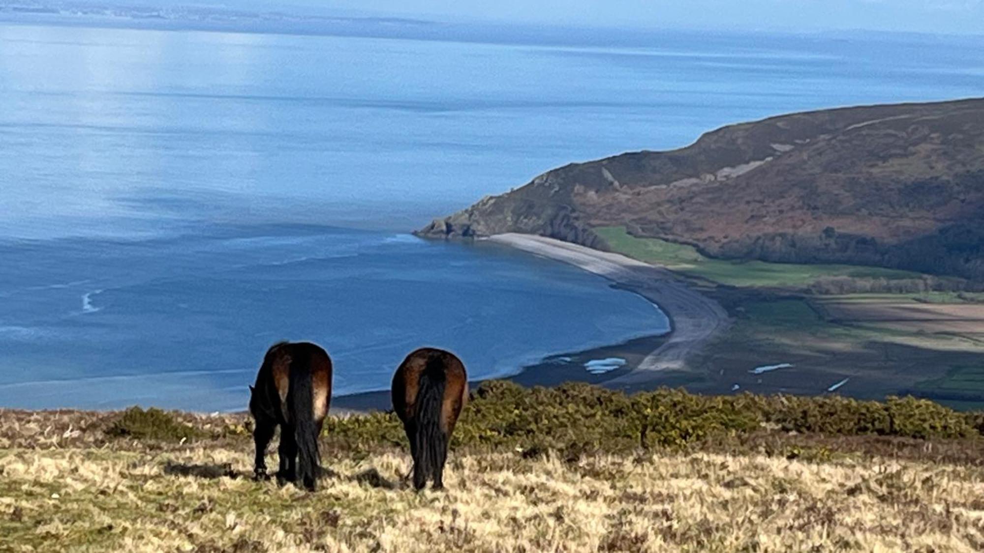 Exmoor Bnb In Withypool On Two Moors Way Exteriér fotografie