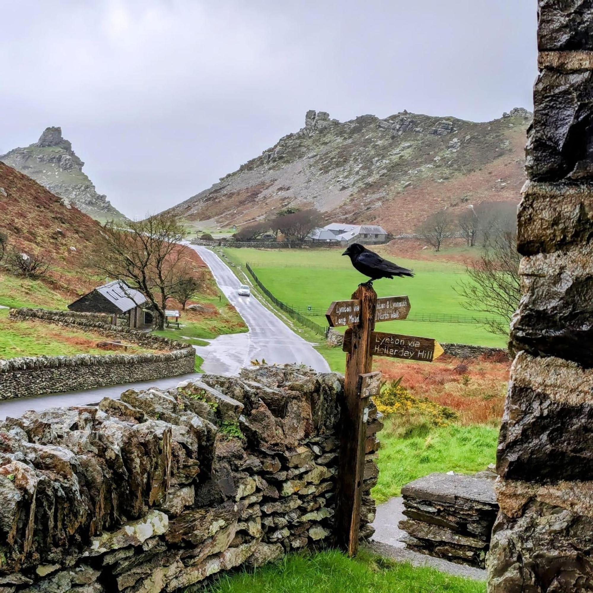 Exmoor Bnb In Withypool On Two Moors Way Exteriér fotografie